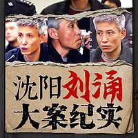 沈阳刘涌打黑纪实全集