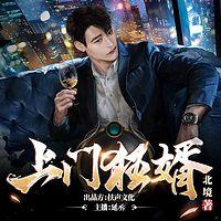 上门狂婿 